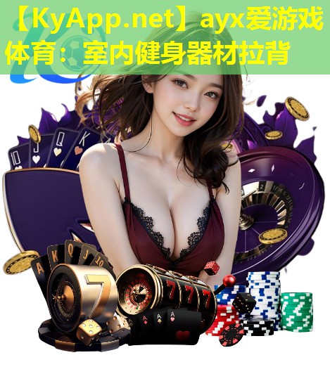 ayx爱游戏体育：室内健身器材拉背
