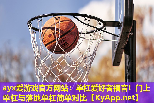 ayx爱游戏官方网站：单杠爱好者福音！门上单杠与落地单杠简单对比