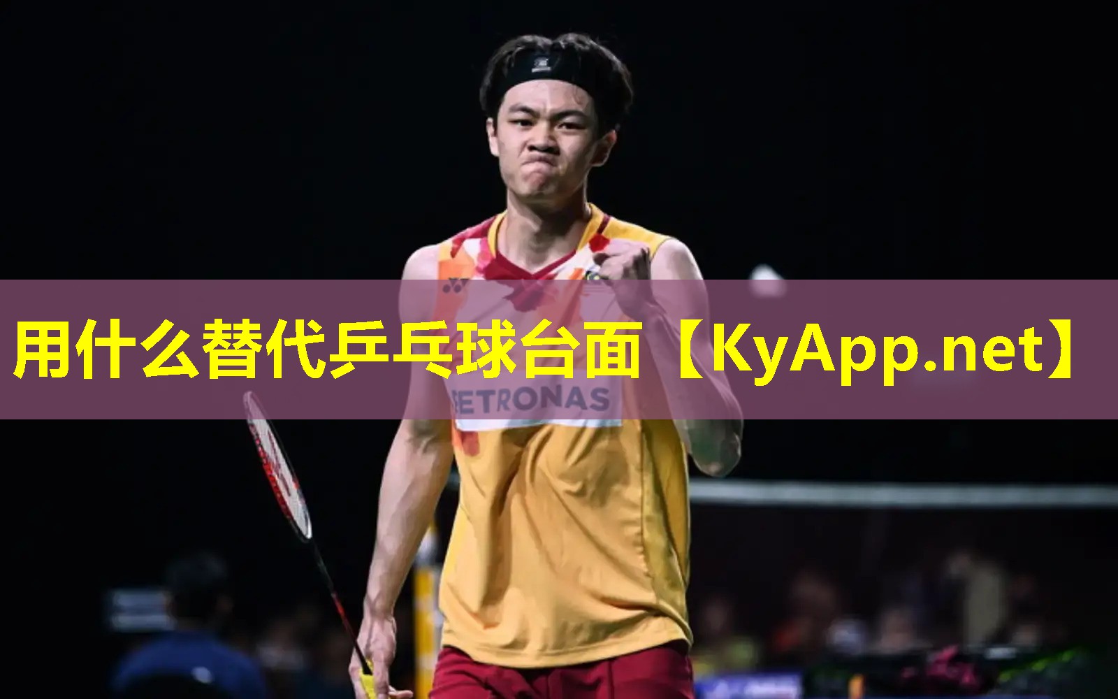 用什么替代乒乓球台面