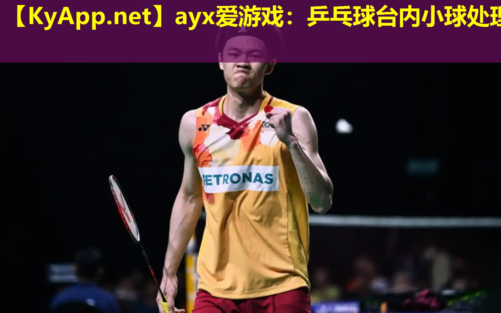 ayx爱游戏：乒乓球台内小球处理