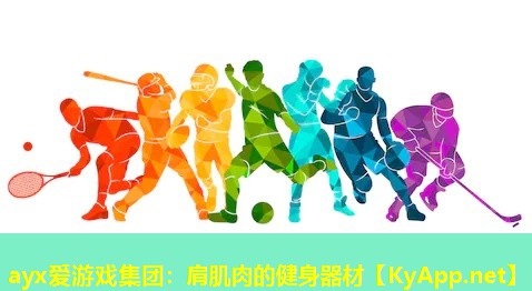 ayx爱游戏集团：肩肌肉的健身器材