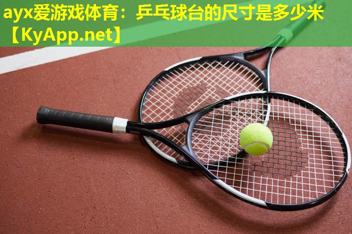 ayx爱游戏体育：乒乓球台的尺寸是多少米