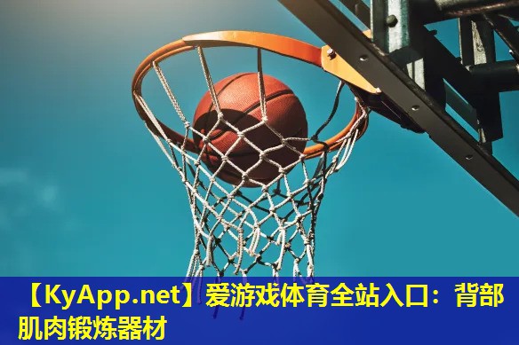爱游戏体育全站入口：背部肌肉锻炼器材