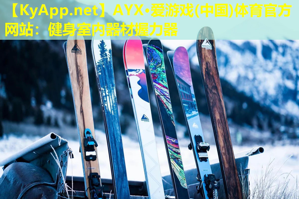 AYX·爱游戏(中国)体育官方网站：健身室内器材握力器