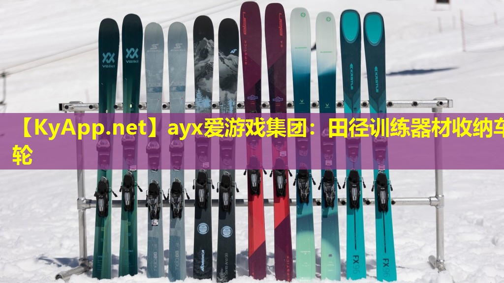 ayx爱游戏集团：田径训练器材收纳车轮