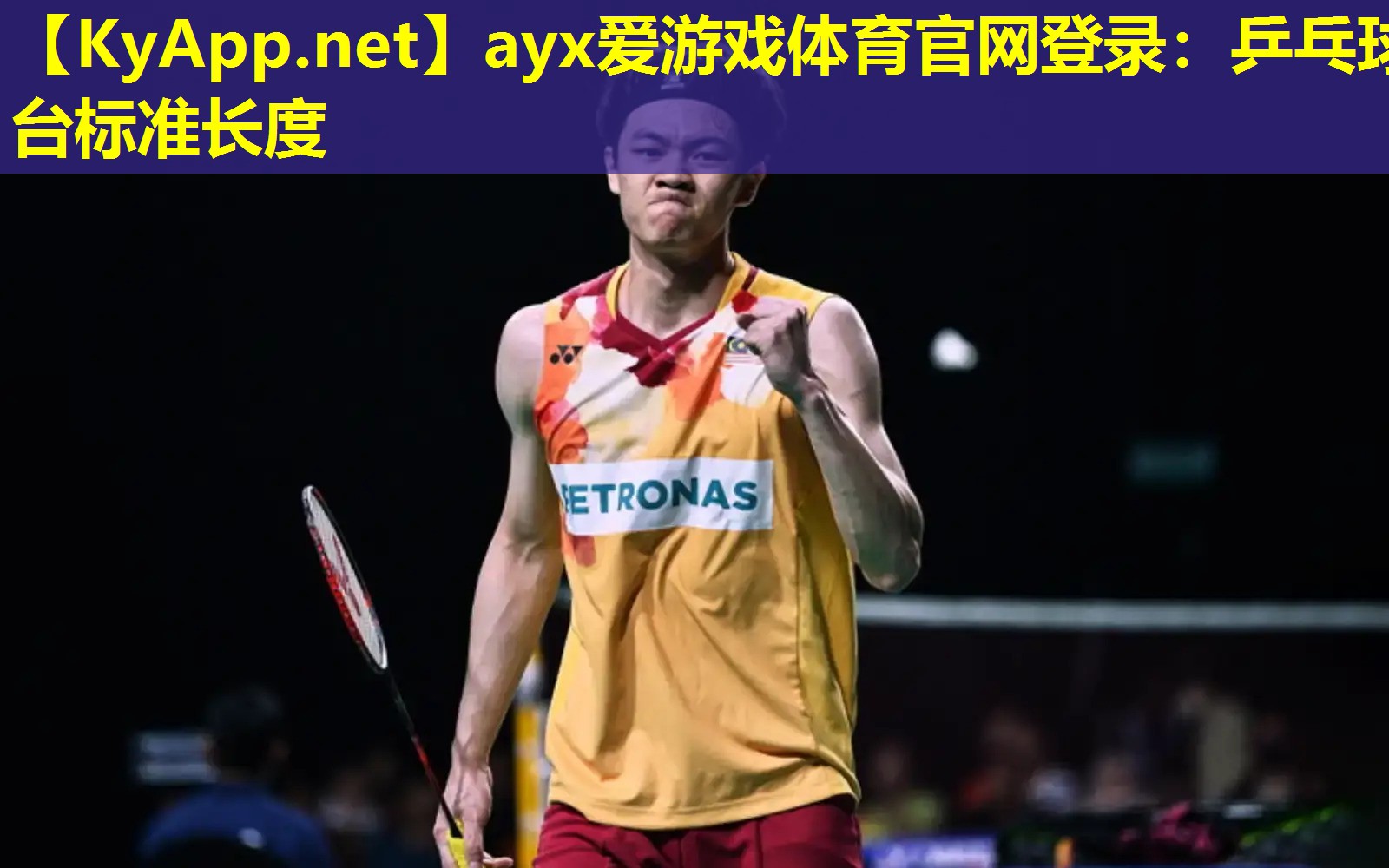 ayx爱游戏体育官网登录：乒乓球台标准长度