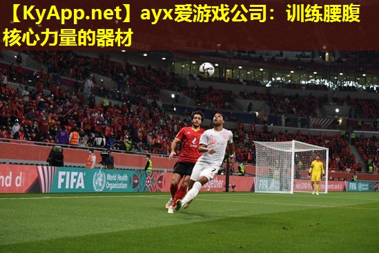 ayx爱游戏公司：训练腰腹核心力量的器材