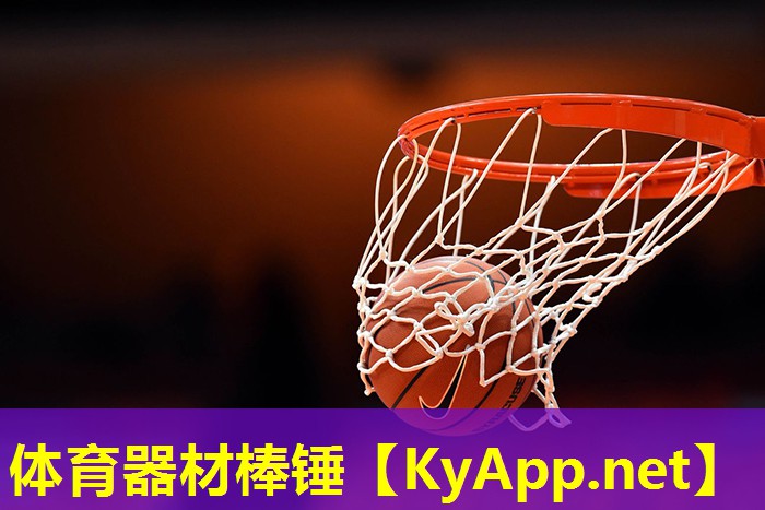 体育器材棒锤