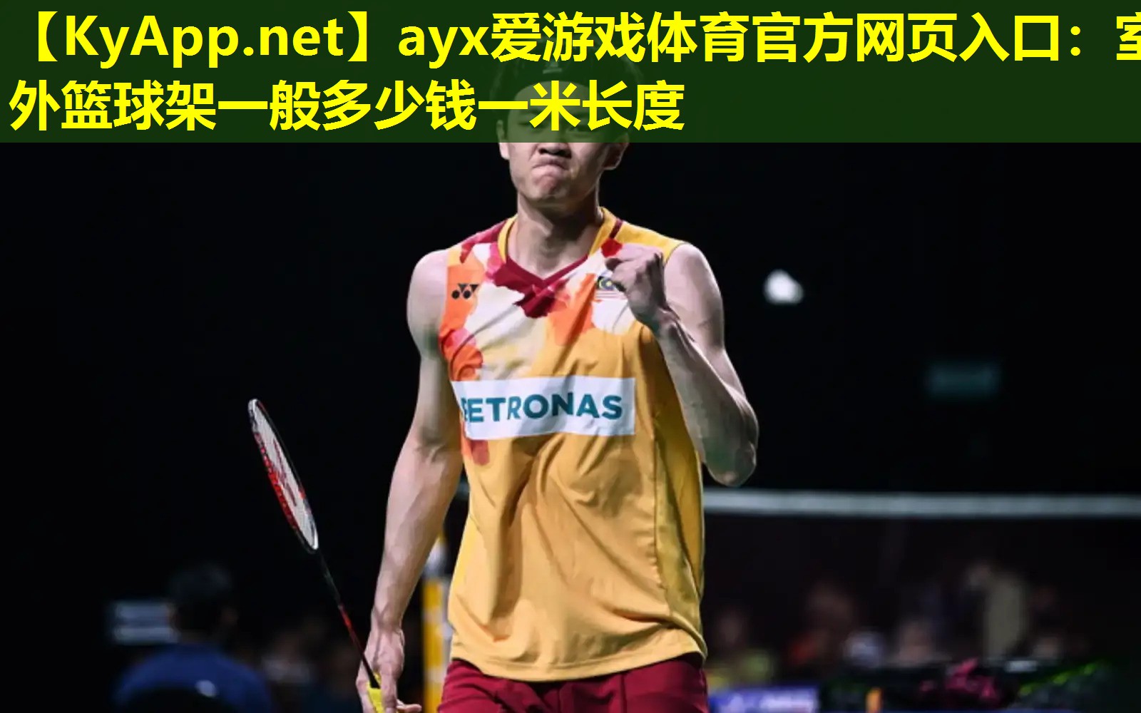 ayx爱游戏体育官方网页入口：室外篮球架一般多少钱一米长度