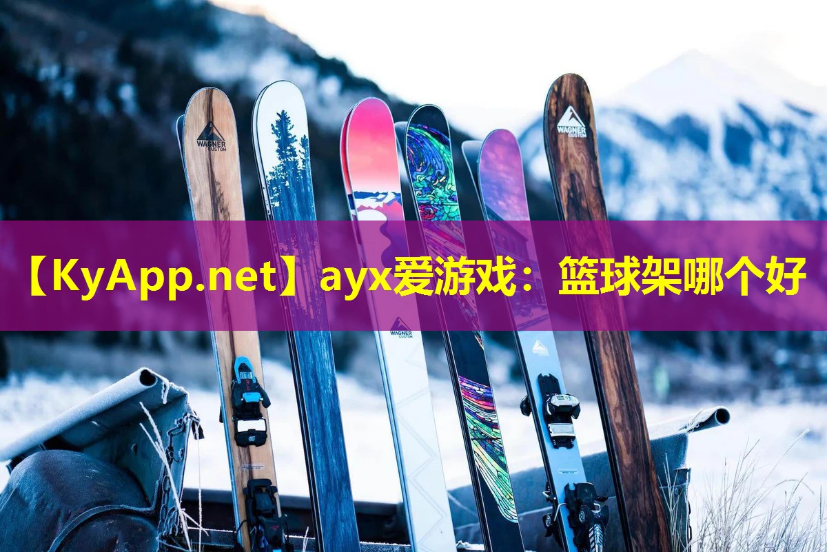 ayx爱游戏：篮球架哪个好