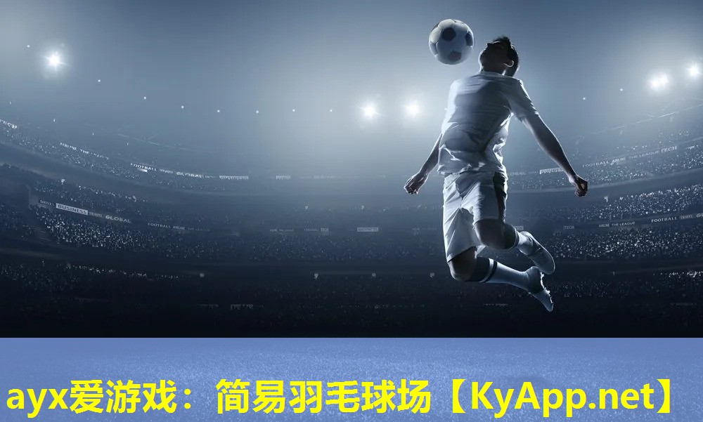 ayx爱游戏：简易羽毛球场