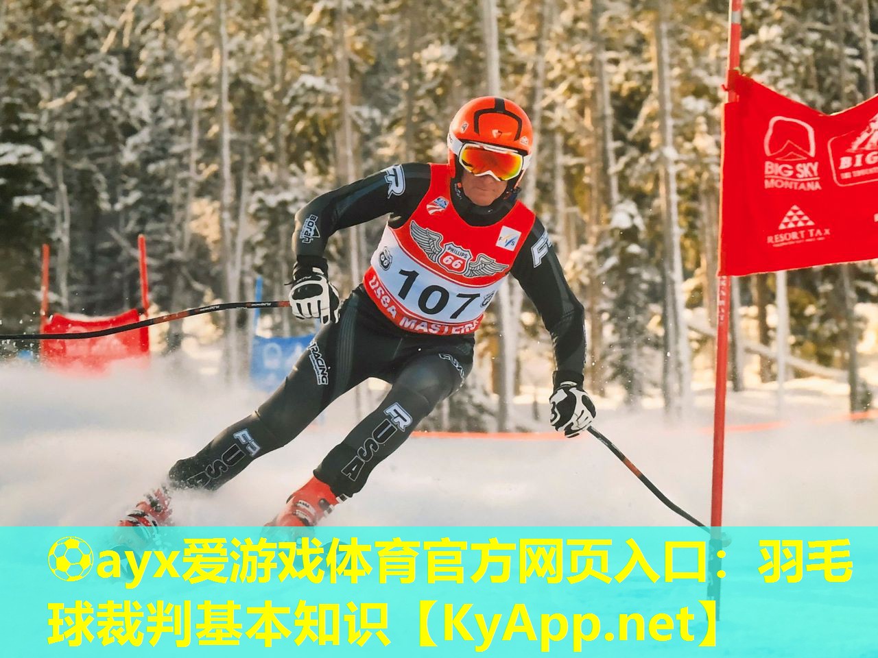 ⚽ayx爱游戏体育官方网页入口：羽毛球裁判基本知识