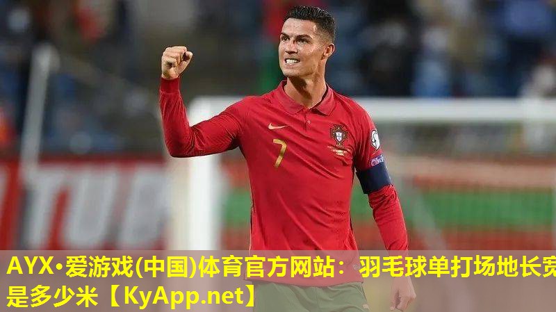 AYX·爱游戏(中国)体育官方网站：羽毛球单打场地长宽是多少米
