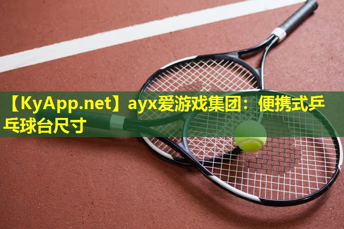 便携式乒乓球台尺寸