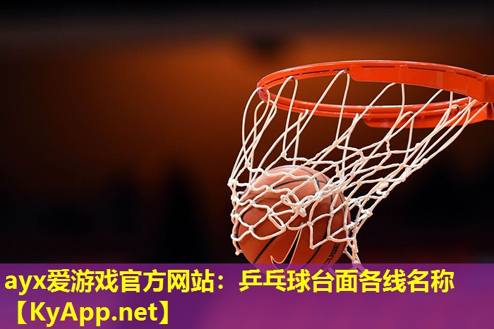 乒乓球台面各线名称