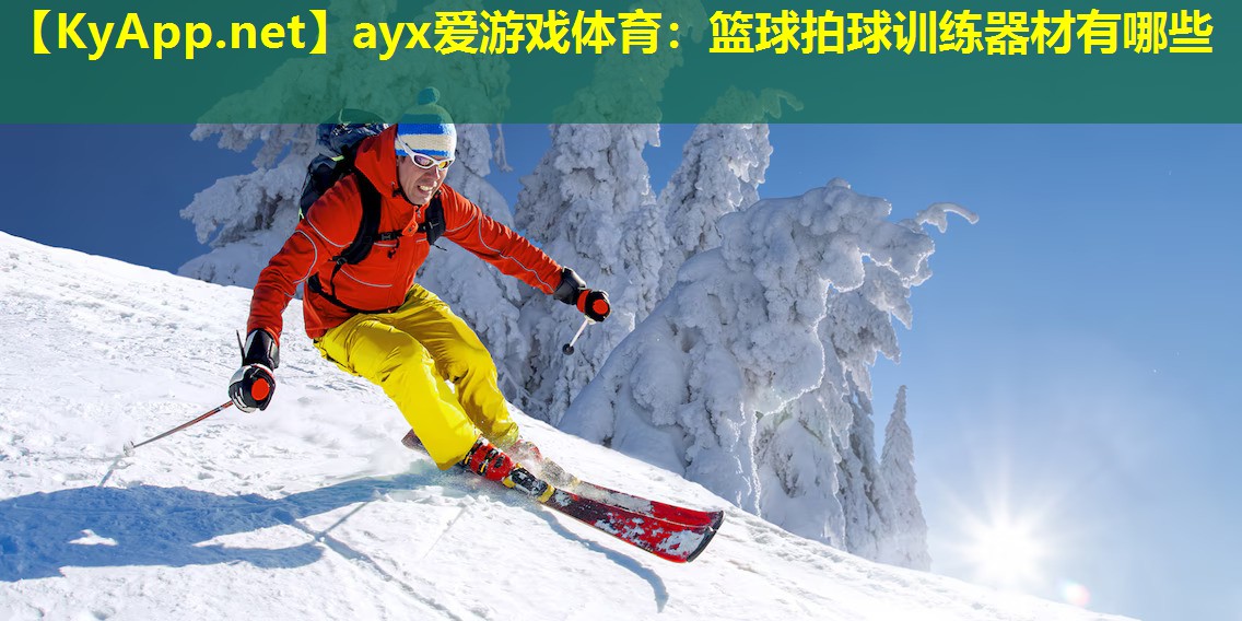 篮球拍球训练器材有哪些