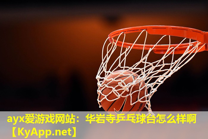 华岩寺乒乓球台怎么样啊