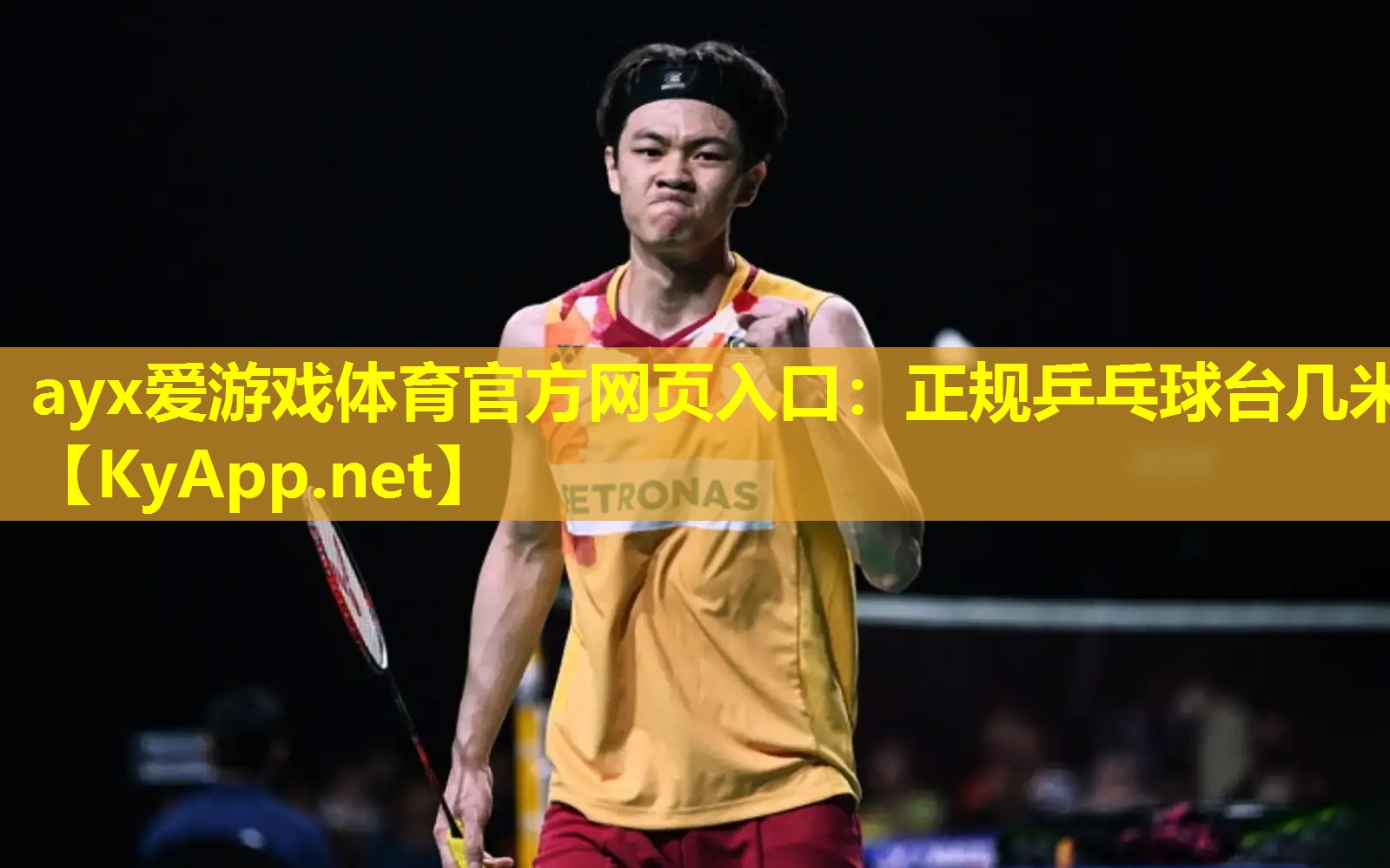 正规乒乓球台几米