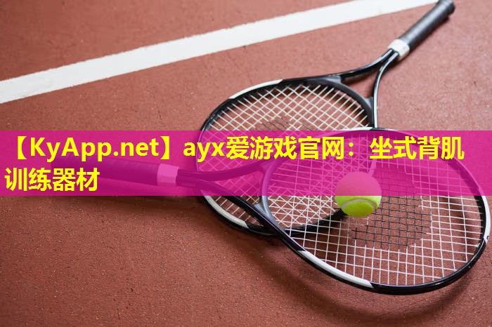 坐式背肌训练器材