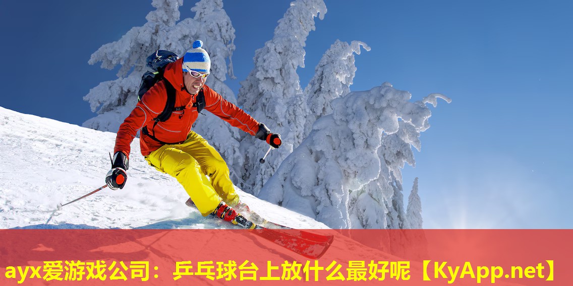 乒乓球台上放什么最好呢