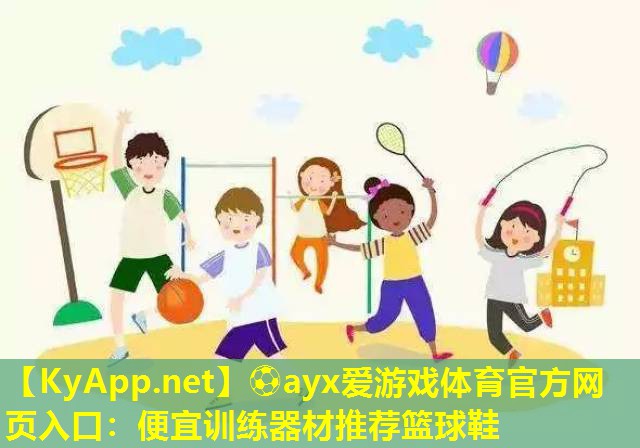 便宜训练器材推荐篮球鞋