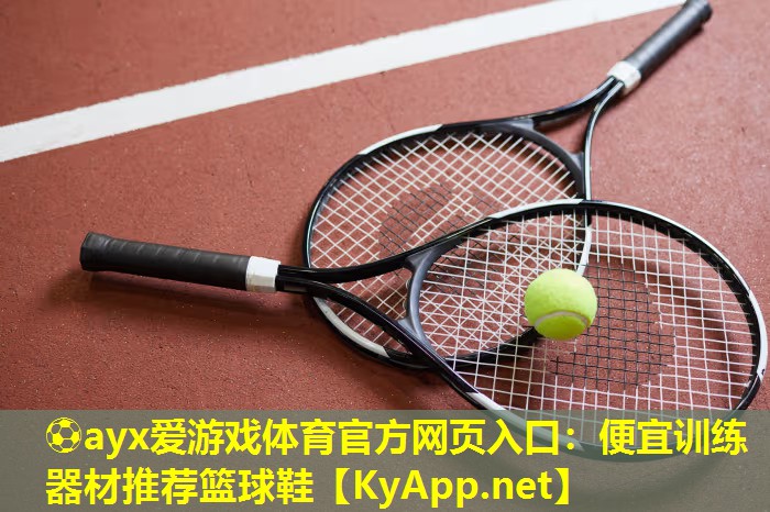 便宜训练器材推荐篮球鞋