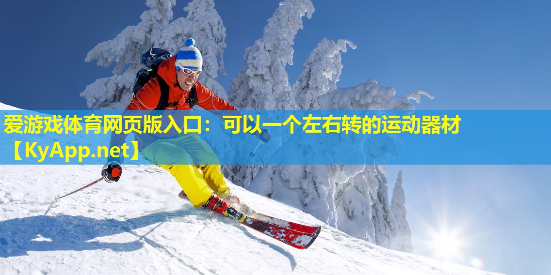 可以一个左右转的运动器材