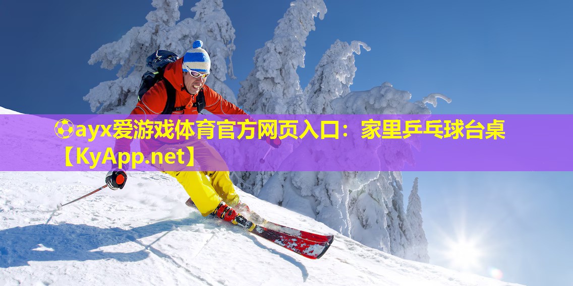 家里乒乓球台桌