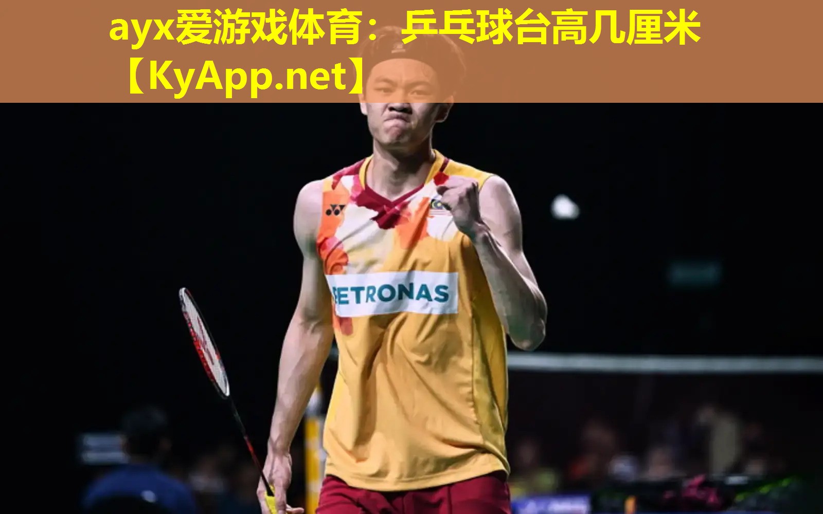 乒乓球台高几厘米