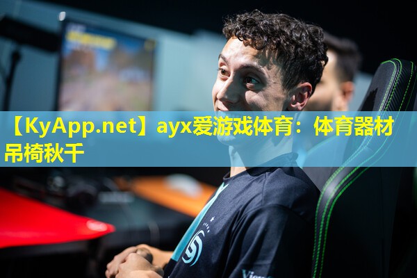 体育器材吊椅秋千