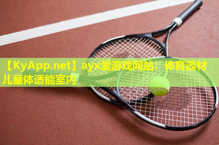 体育器材儿童体适能室内