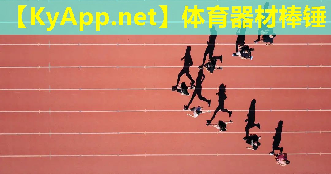 体育器材棒锤