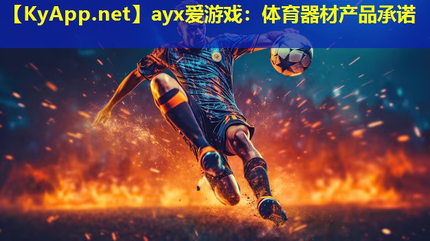 体育器材产品承诺
