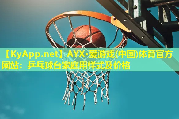 乒乓球台家庭用样式及价格