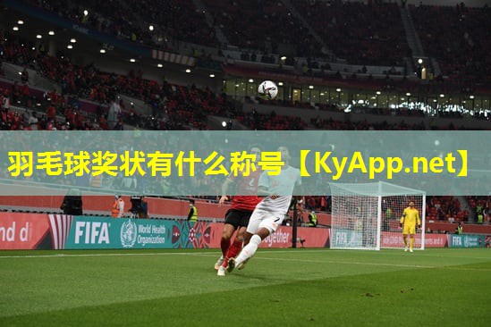 羽毛球奖状有什么称号