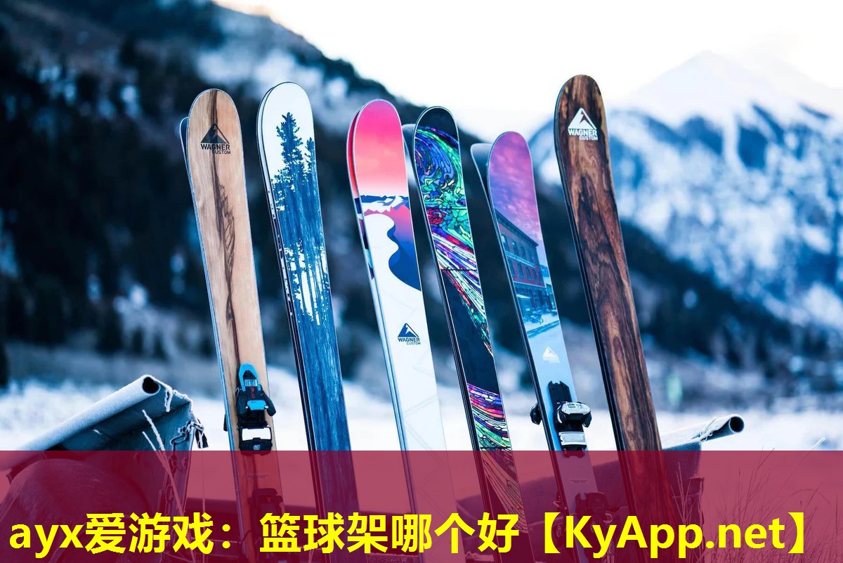 篮球架哪个好