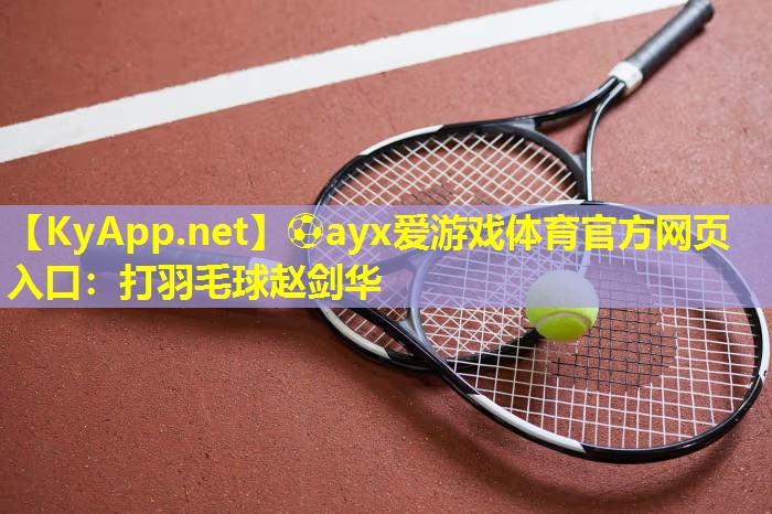 打羽毛球赵剑华