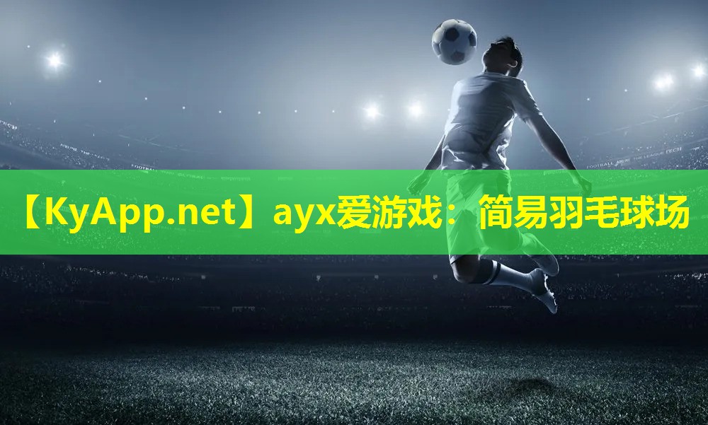 简易羽毛球场