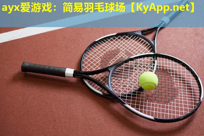 简易羽毛球场