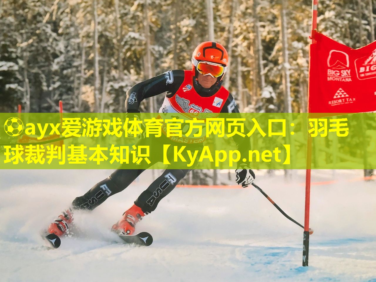 羽毛球裁判基本知识